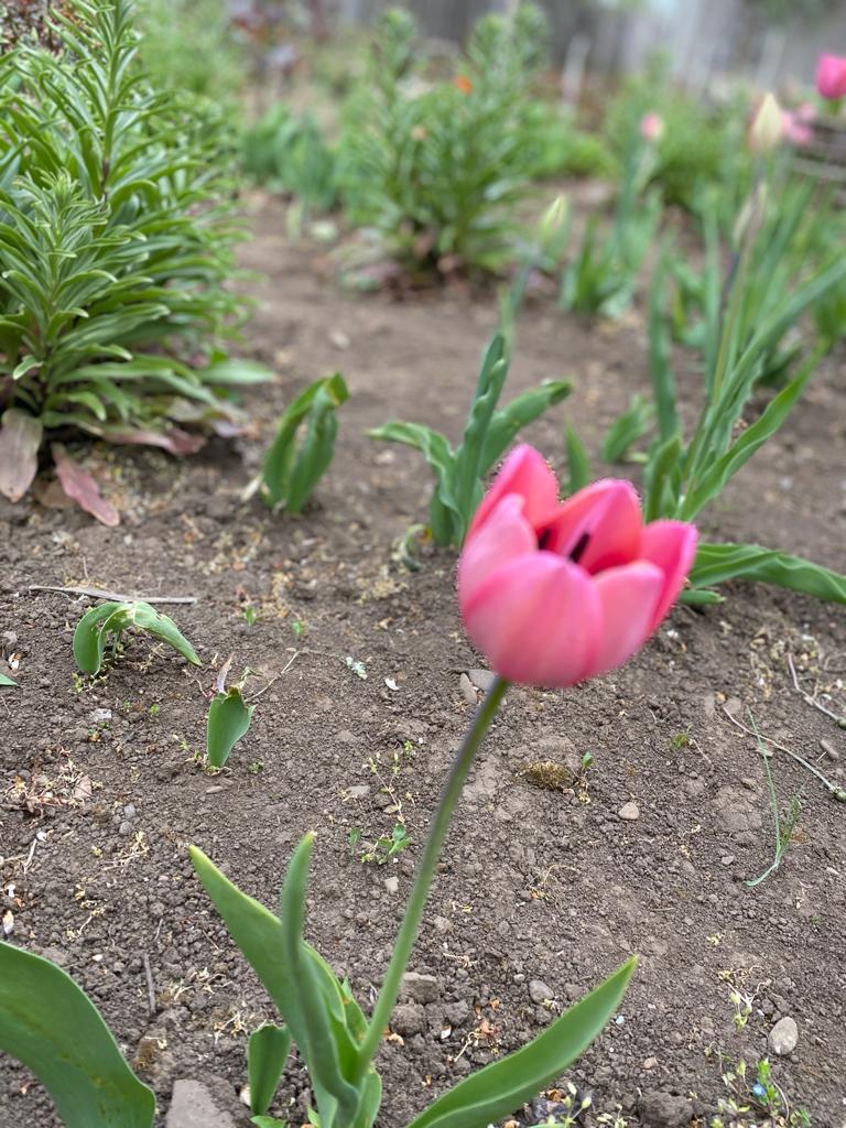 Anotimpurile prin ochi de copil by Dinu Sara-Andreea - Ourboox.com