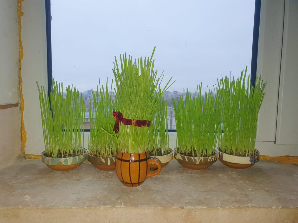 Anotimpurile prin ochi de copil by Dinu Sara-Andreea - Ourboox.com