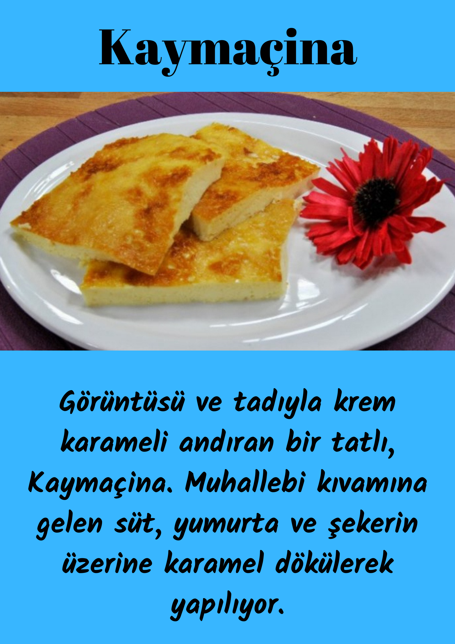 Kuzey Makedonya Lezzetleri by Yasemin KINAÇ - Ourboox.com