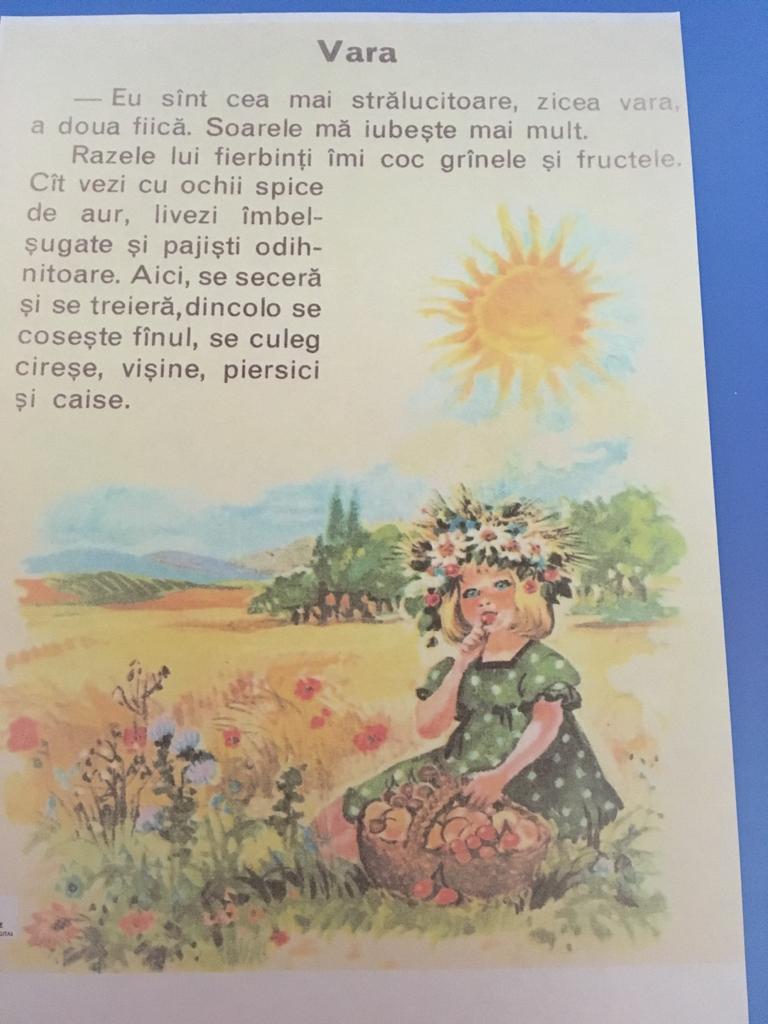 Anotimpurile prin ochi de copil by ACIK DERYA MARIA - Illustrated by Acik Derya Maria - Ourboox.com