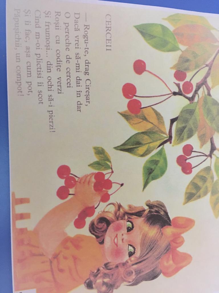 Anotimpurile prin ochi de copil by ACIK DERYA MARIA - Illustrated by Acik Derya Maria - Ourboox.com