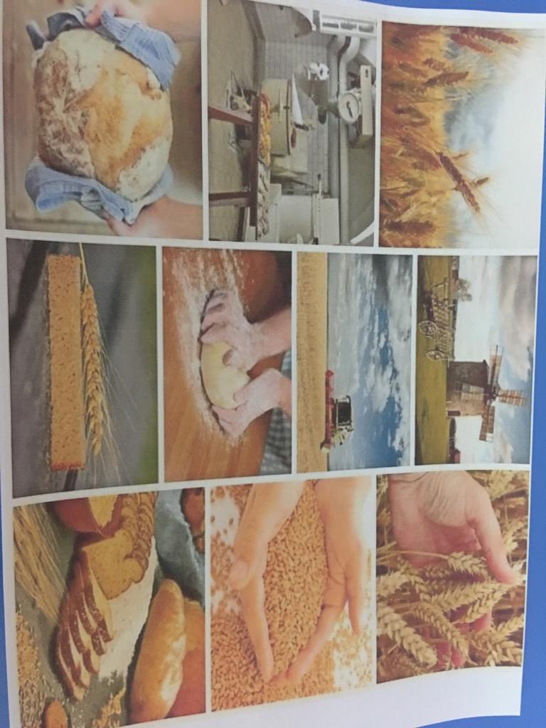 Anotimpurile prin ochi de copil by ACIK DERYA MARIA - Illustrated by Acik Derya Maria - Ourboox.com