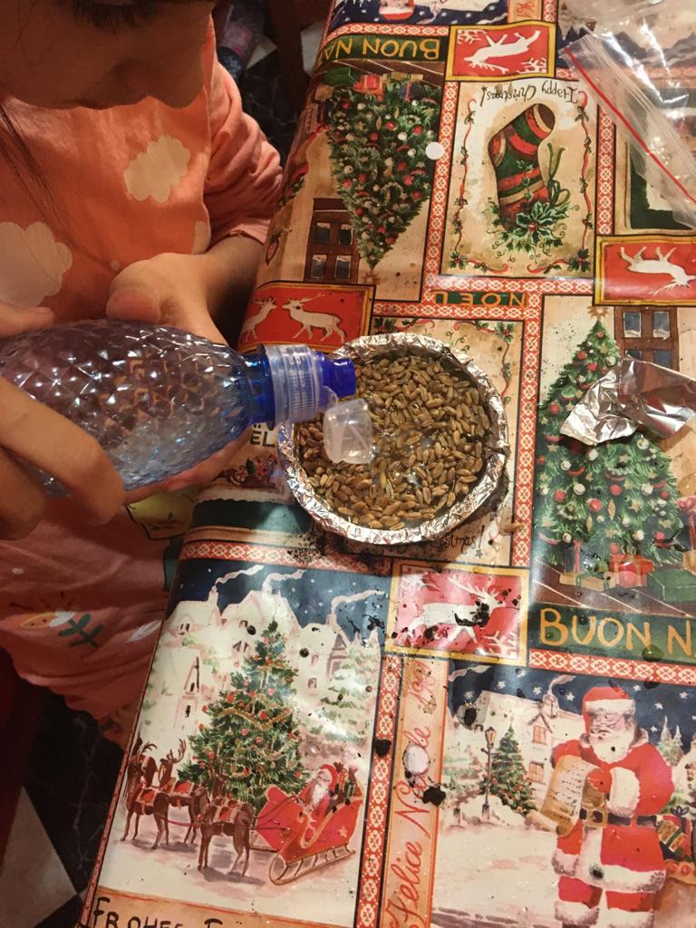 Anotimpurile prin ochi de copil by ACIK DERYA MARIA - Illustrated by Acik Derya Maria - Ourboox.com