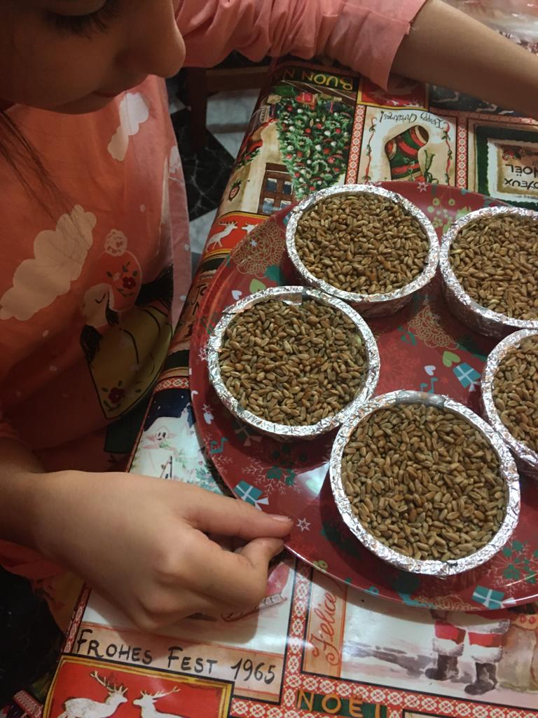 Anotimpurile prin ochi de copil by ACIK DERYA MARIA - Illustrated by Acik Derya Maria - Ourboox.com