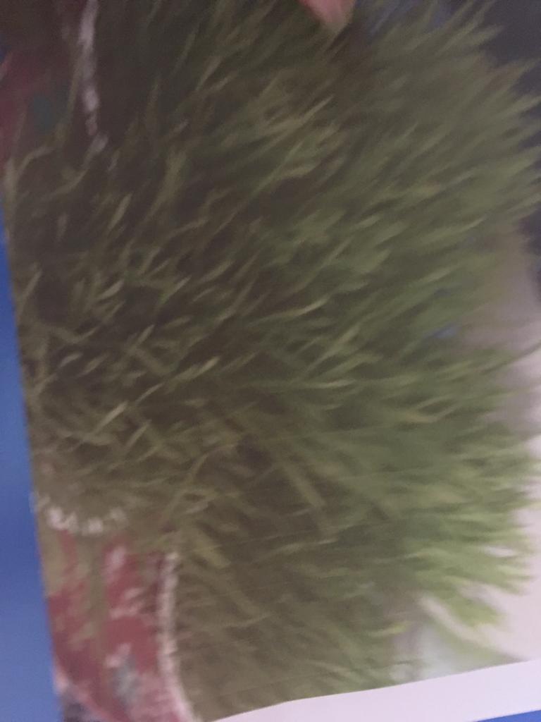 Anotimpurile prin ochi de copil by ACIK DERYA MARIA - Illustrated by Acik Derya Maria - Ourboox.com