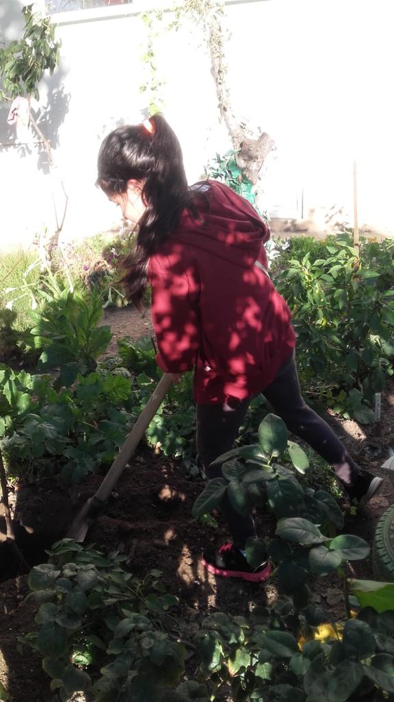 Anotimpurile prin ochi de copil by ACIK DERYA MARIA - Illustrated by Acik Derya Maria - Ourboox.com