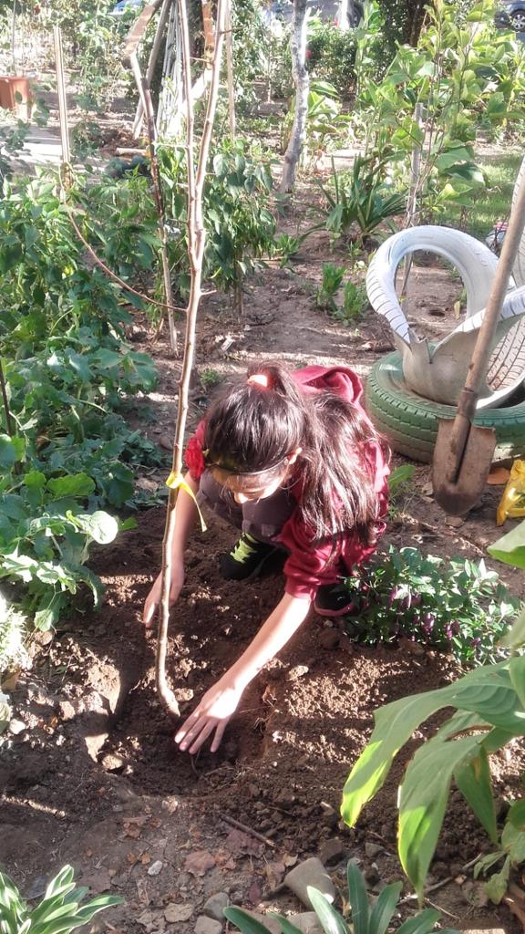 Anotimpurile prin ochi de copil by ACIK DERYA MARIA - Illustrated by Acik Derya Maria - Ourboox.com