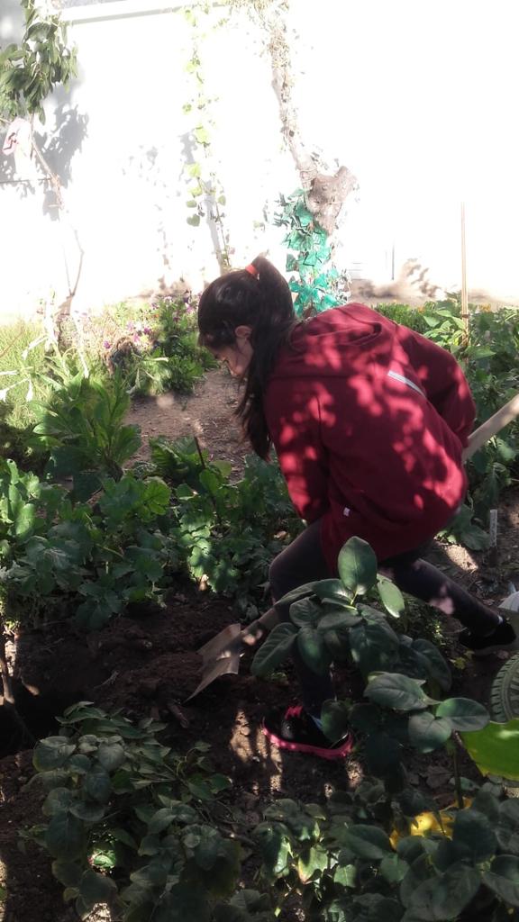 Anotimpurile prin ochi de copil by ACIK DERYA MARIA - Illustrated by Acik Derya Maria - Ourboox.com