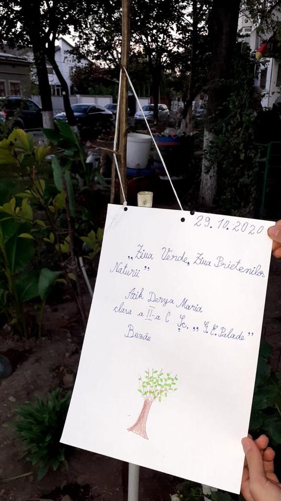 Anotimpurile prin ochi de copil by ACIK DERYA MARIA - Illustrated by Acik Derya Maria - Ourboox.com