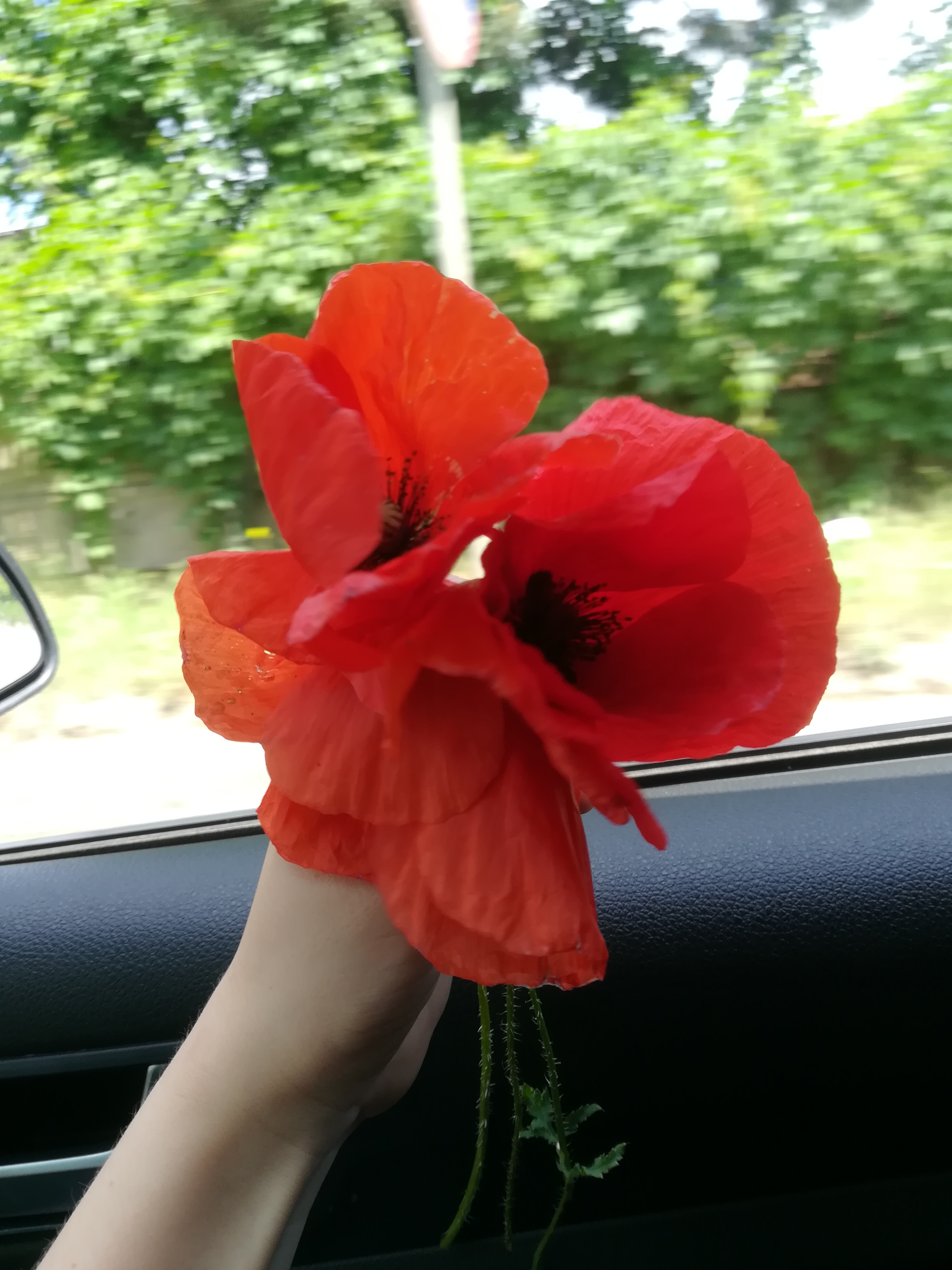 ”Anotimpuri prin ochi de copil” by Antonia Mocanu - Ourboox.com