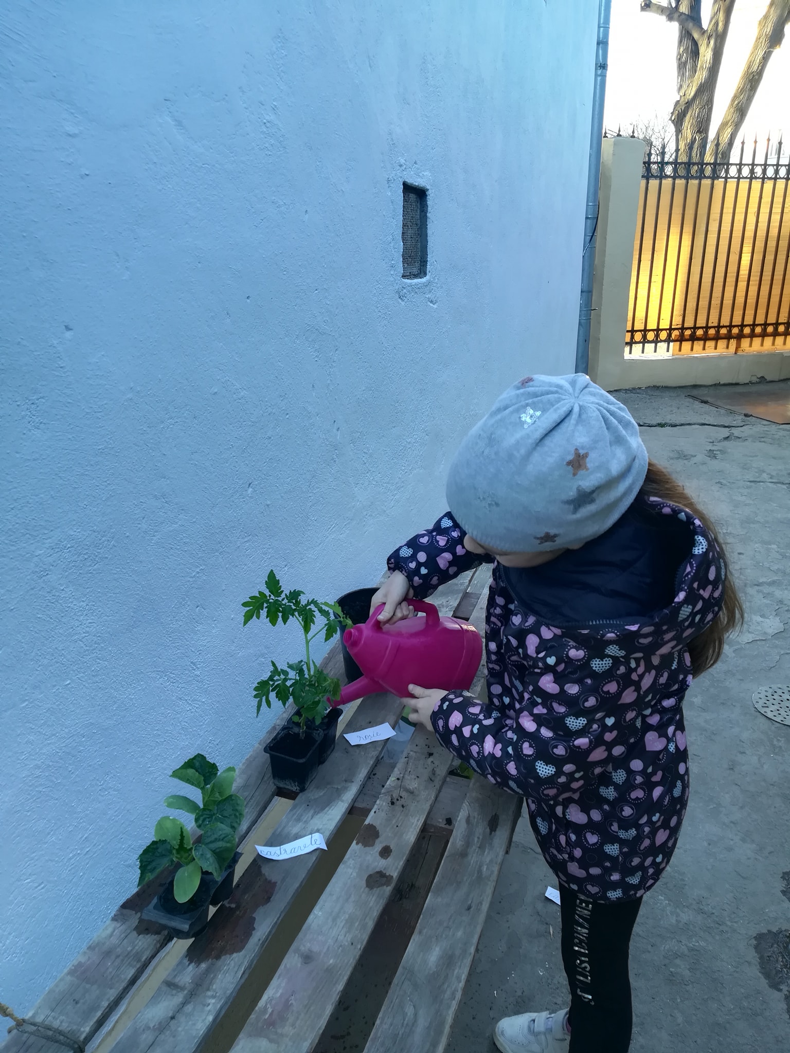 ”Anotimpuri prin ochi de copil” by Antonia Mocanu - Ourboox.com