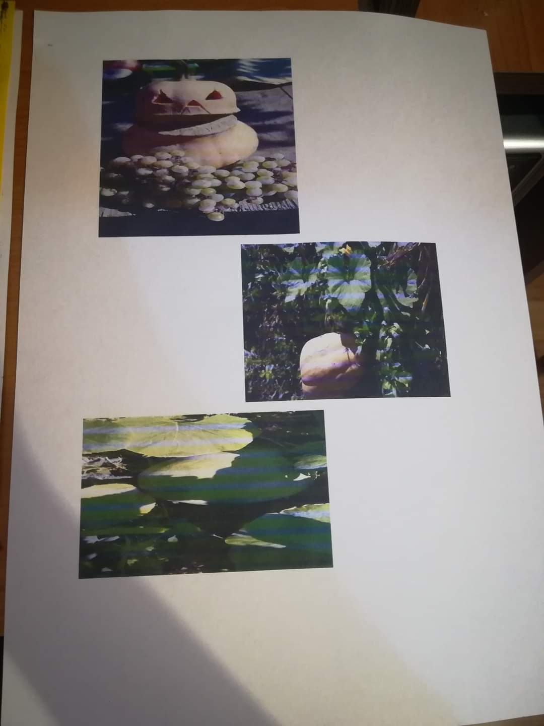 ”Anotimpuri prin ochi de copil” by Antonia Mocanu - Ourboox.com