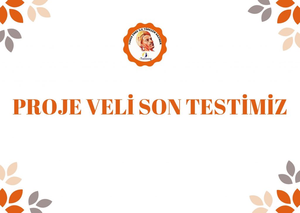 veli son test by Rabia şahin - Illustrated by Rabia Nur Şahin  - Ourboox.com