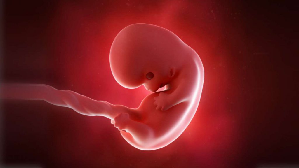 Мій щасливий лист by Roman - Ourboox.com