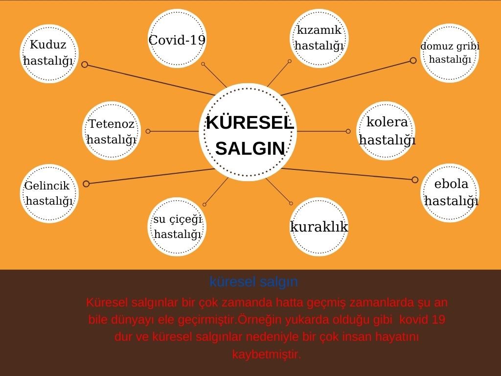 KÜRESEL SALGIN by aziz sancar e twinning - Ourboox.com