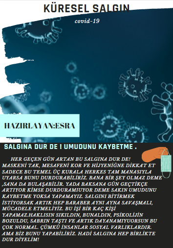 KÜRESEL SALGIN by aziz sancar e twinning - Ourboox.com