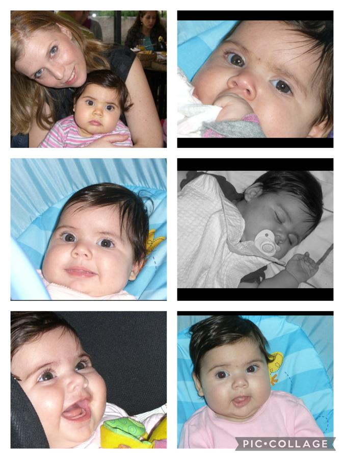 עבודת שורשים של שי רז by shai raz - Ourboox.com