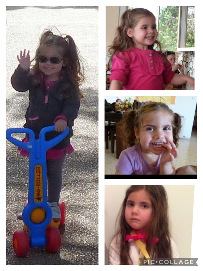 עבודת שורשים של שי רז by shai raz - Ourboox.com