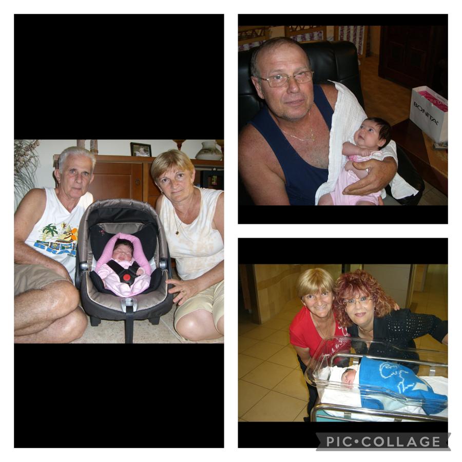 עבודת שורשים של שי רז by shai raz - Ourboox.com