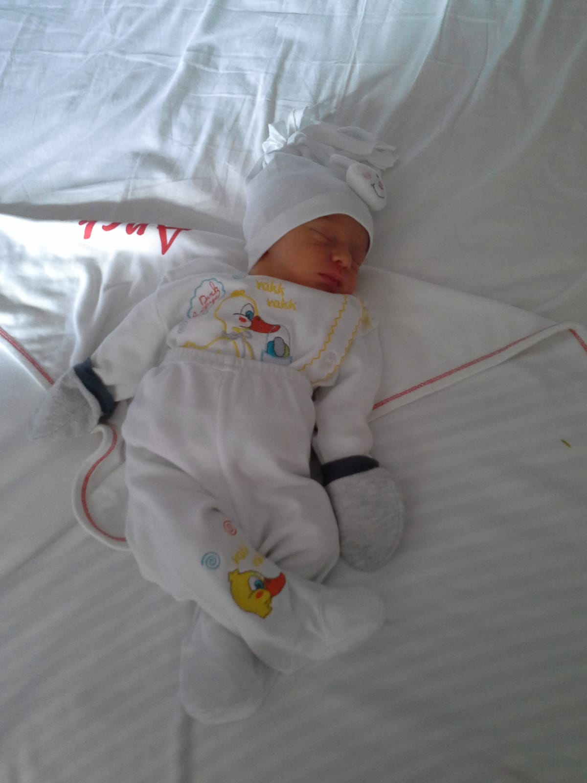 MEHMET EMİN ÖZPOLAT by Ahmet ÖZPOLAT - Ourboox.com