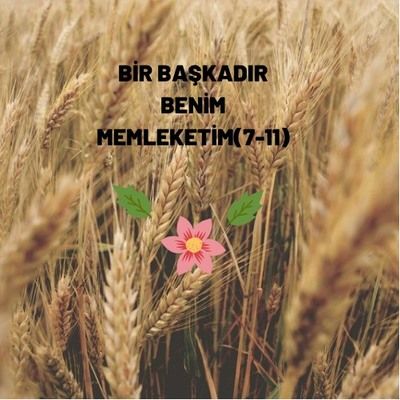 Benim Memleketim by gülnur aker - Ourboox.com