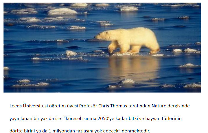 İKLİM DEĞİŞİKLİĞİ by Emlak Kredi Bankası Ortaokulu - Ourboox.com