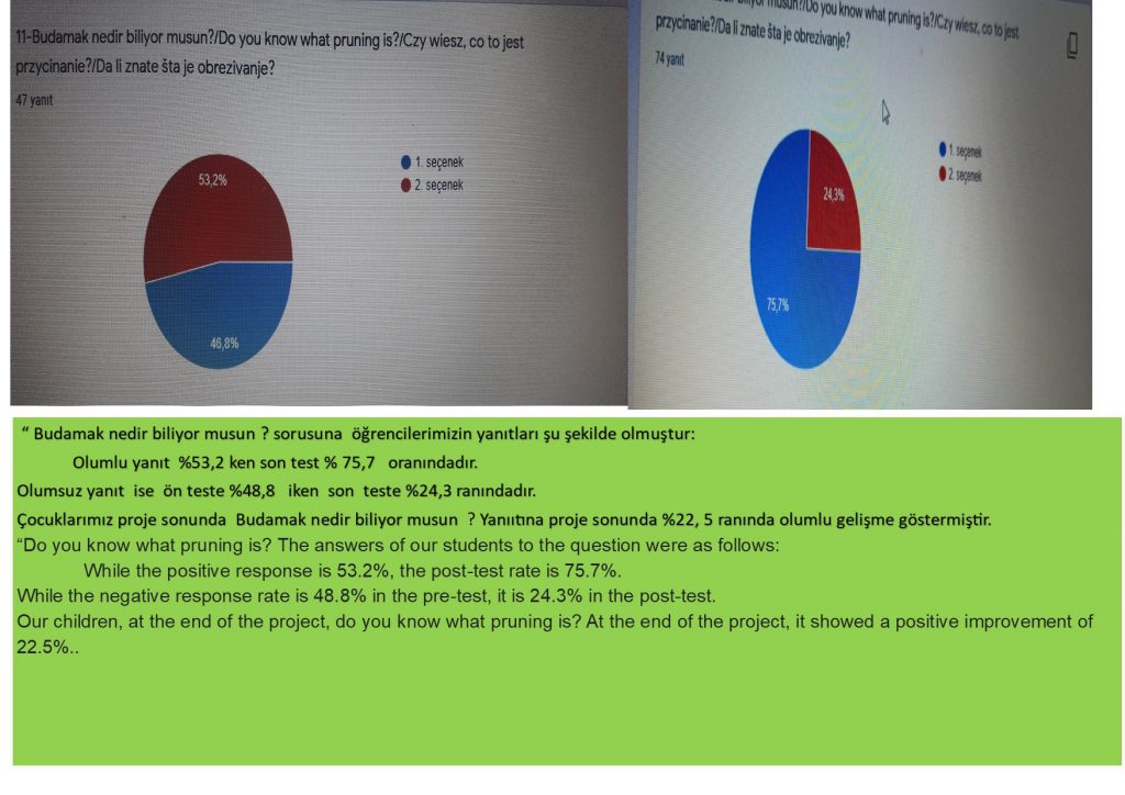 ÖĞRENCİ ANKET ANALİZİ by SERAP ŞANAL KIRBIYIK - Ourboox.com