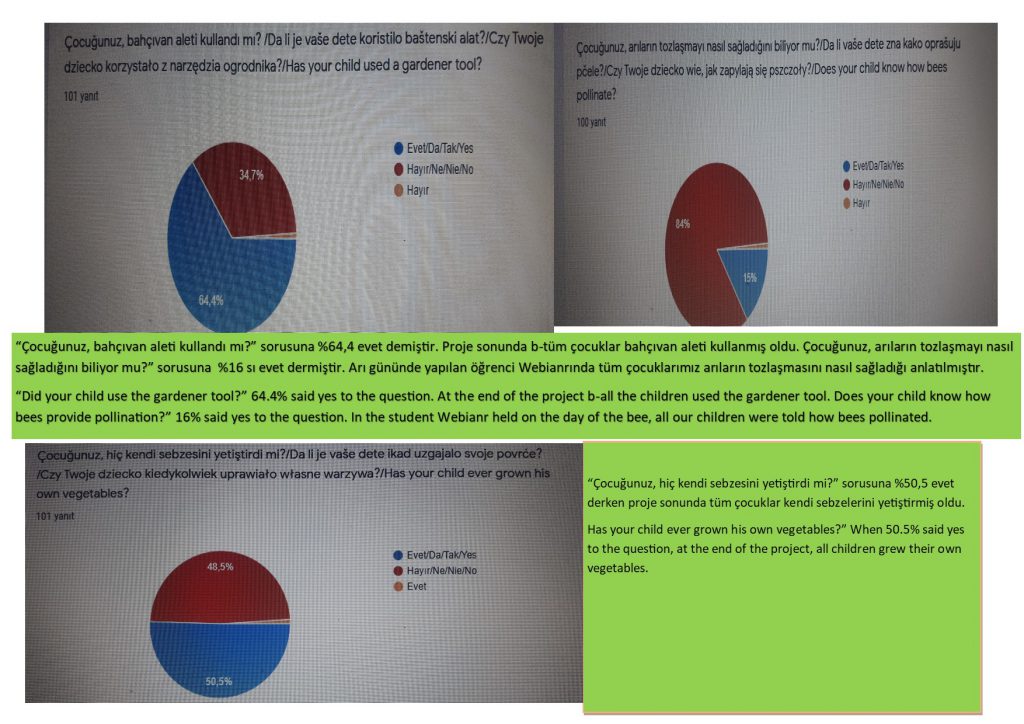 VELİ ANKET DEĞERLENDİRME by SERAP ŞANAL KIRBIYIK - Ourboox.com