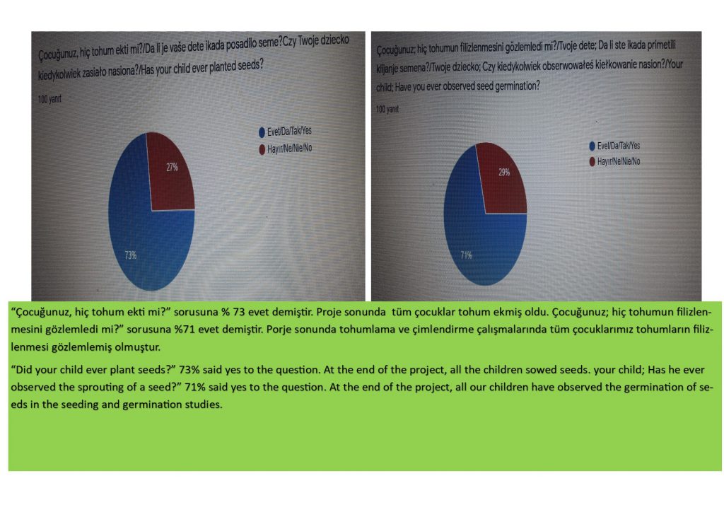 VELİ ANKET DEĞERLENDİRME by SERAP ŞANAL KIRBIYIK - Ourboox.com