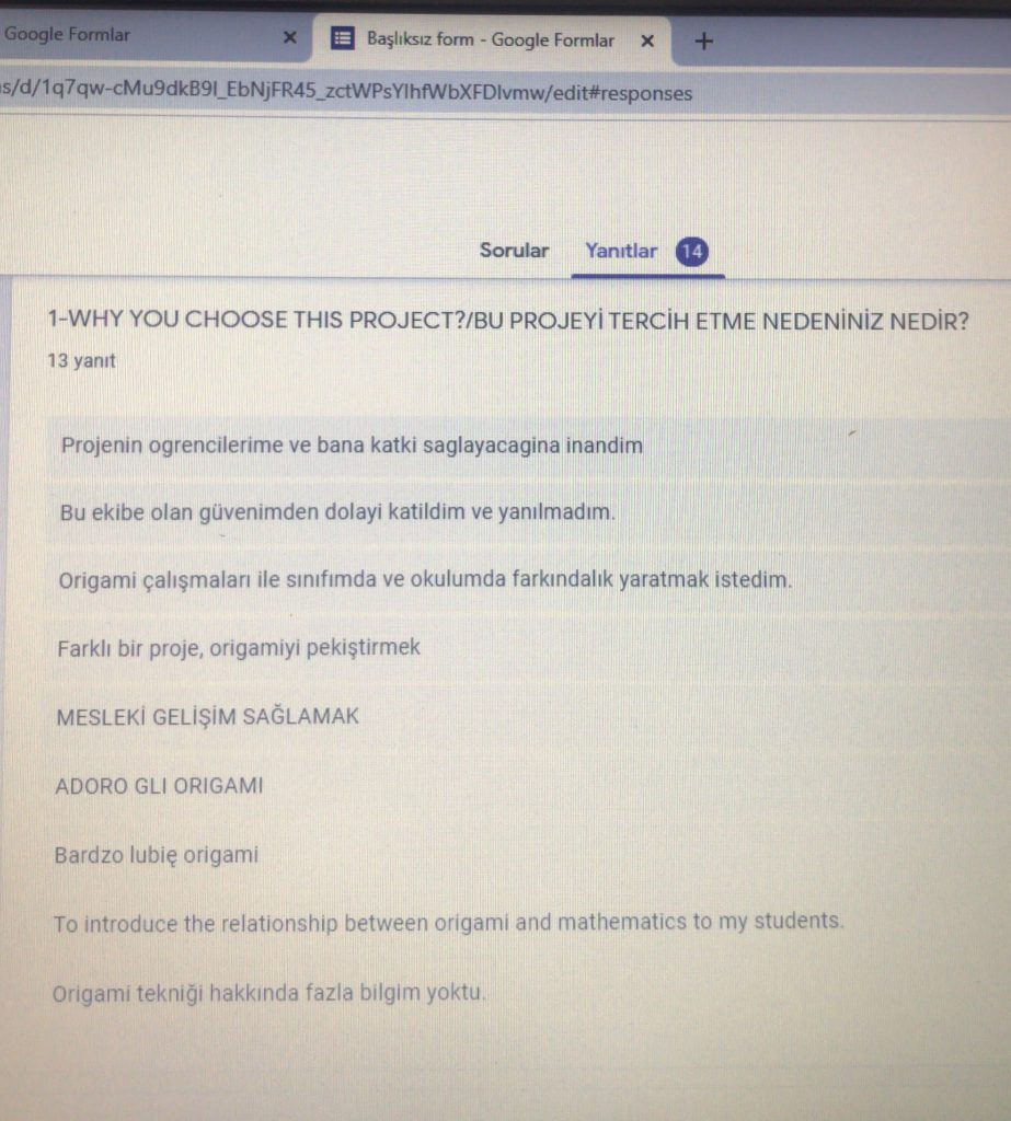 ORIGAMIC MATH END OF PROJECT TEACHER EVALUATION SURVEY RESULTS by MERVE ÇETİNKAYA - Ourboox.com