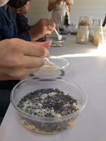 Rugilės aromatiniai muilai by Rugilė - Illustrated by Rugilė - Ourboox.com