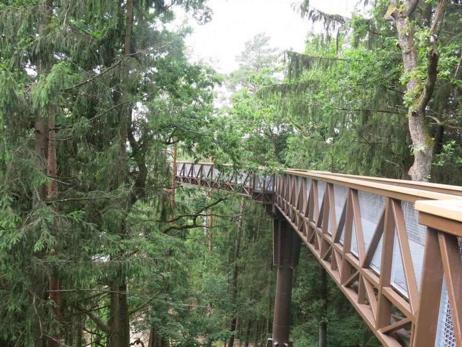 Lietuva devintokų akimis I DALIS by Nojus - Ourboox.com