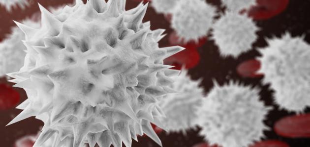 مكونات الدم by hanady mahajne - Illustrated by محاجنة هنادي - Ourboox.com