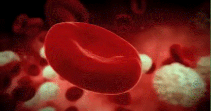 مكونات الدم by hanady mahajne - Illustrated by محاجنة هنادي - Ourboox.com