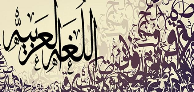 قواعد اللّغة العربيّة by fareda amer - Ourboox.com