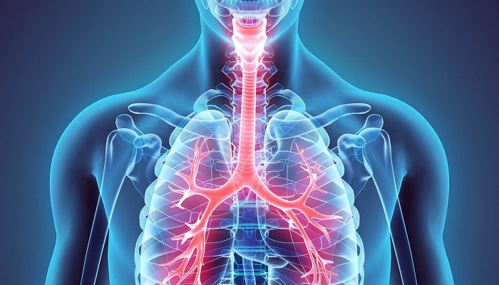 الجهاز التنفسي by alaa - Illustrated by Alaa Abu Zeed - Ourboox.com