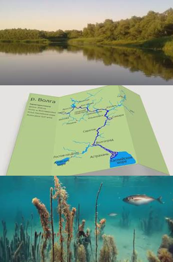 Физика 7 класс by Nastya - Ourboox.com