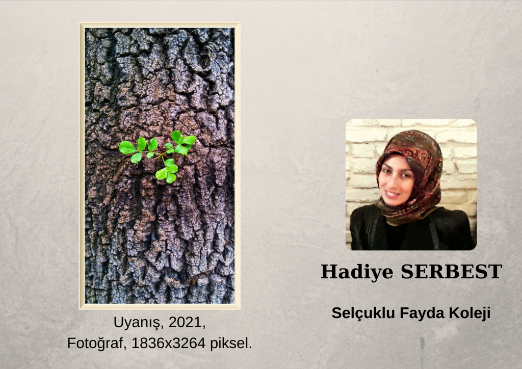 KONYA İL MİLLÎ EĞİTİM MÜDÜRLÜĞÜ KONYA İNSAN MEKTEBİ – KÜLTÜR DAVAMIZ KAPSAMINDA YAPILAN “YAZA MERHABA SERGİSİ” by KONYA İL MİLLİ EĞİTİM MÜDÜRLÜĞÜ - Illustrated by Konya İl Milli Eğitim Müdürlüğü İnsan Mektebi - Ourboox.com