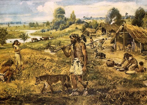 Неолітична революція by Volodymyr Pominchuk - Ourboox.com