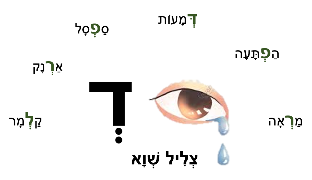 תְּנוּעוֹת הַשָּׂפָה וְהַקְּרִיאָה בְּעִבְרִית by bat sheva - Ourboox.com