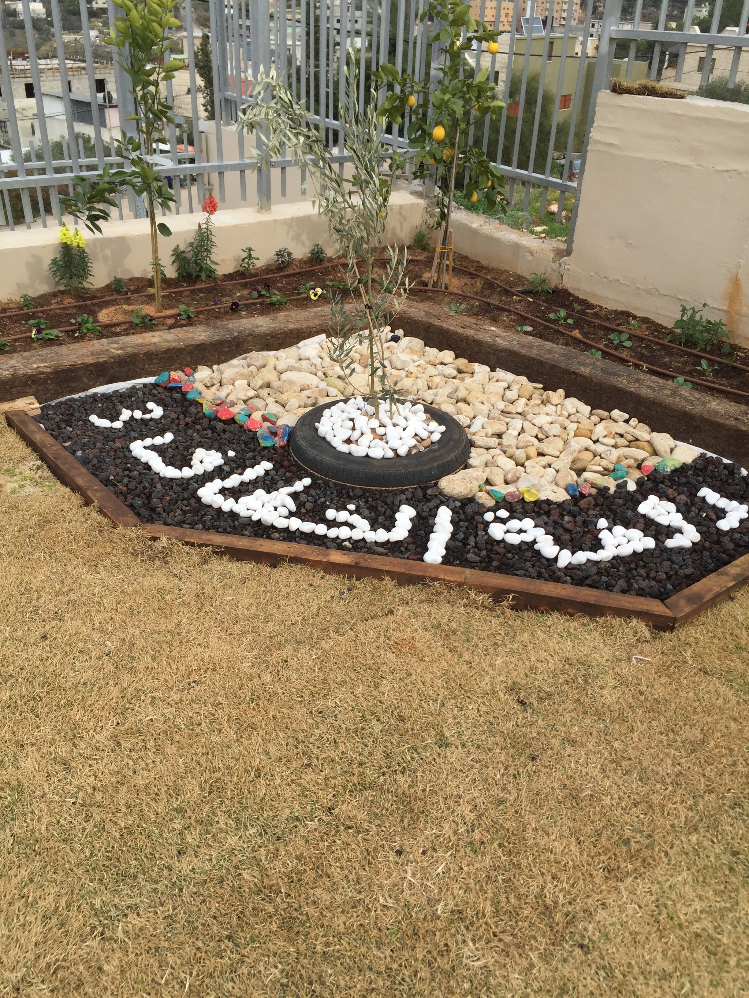 صور تخريج اطفال روضة الوادي 2021 by raeefa - Ourboox.com