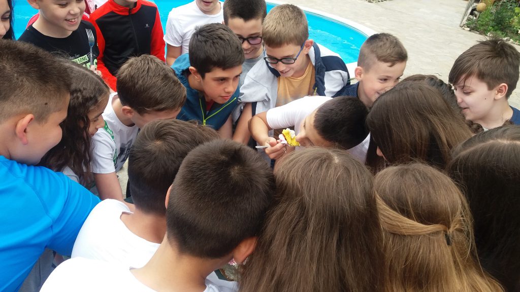 6а by valya videva - Ourboox.com