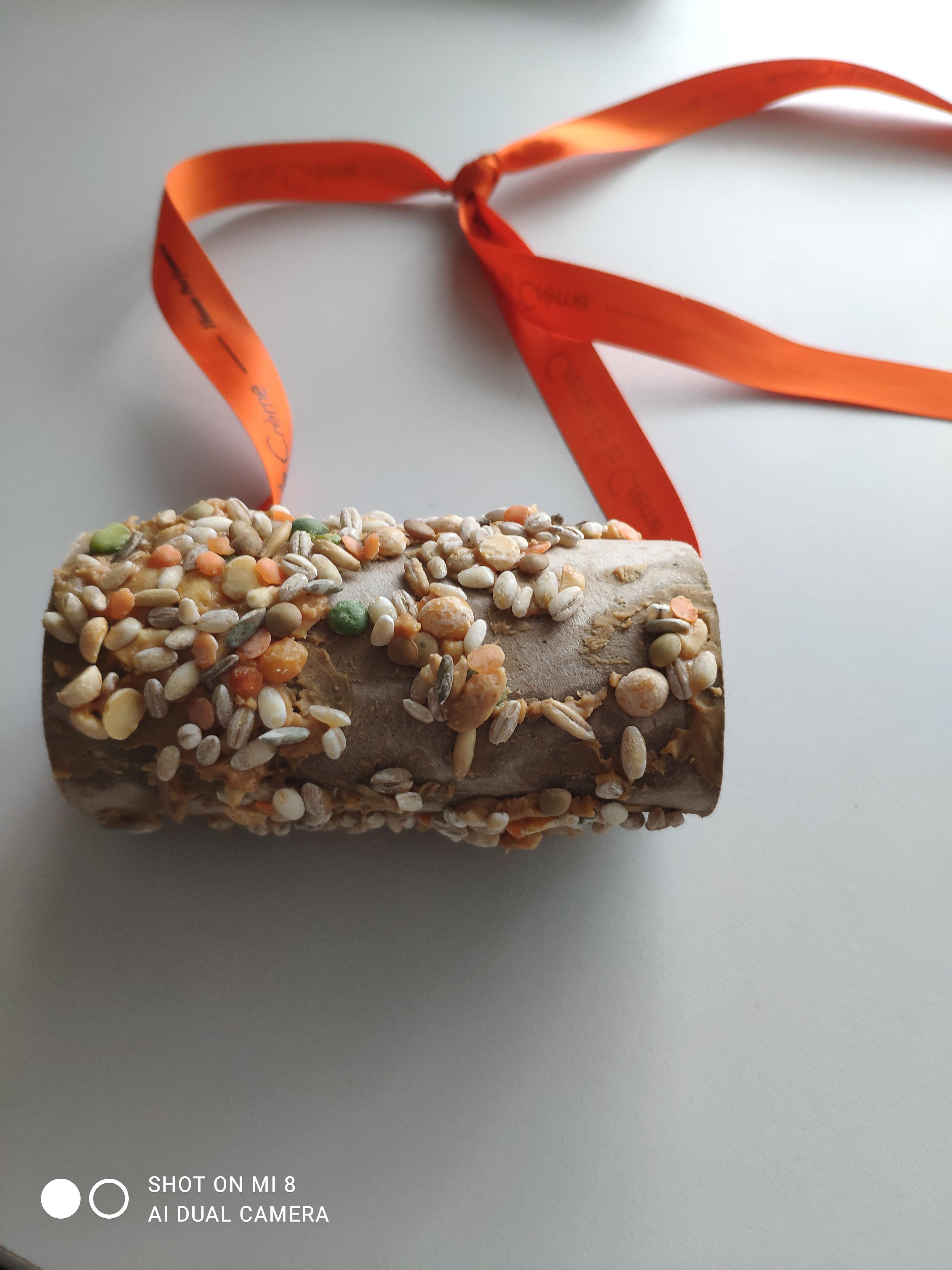 ETWINNING PROJEKTO ,,STEAMUKO DRAUGAI” BAIGIAMOJI KNYGA by Mokytoja Laura Palivonienė - Ourboox.com