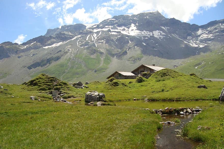 The Truth of World by Adyan Abo Mukh - Ourboox.com