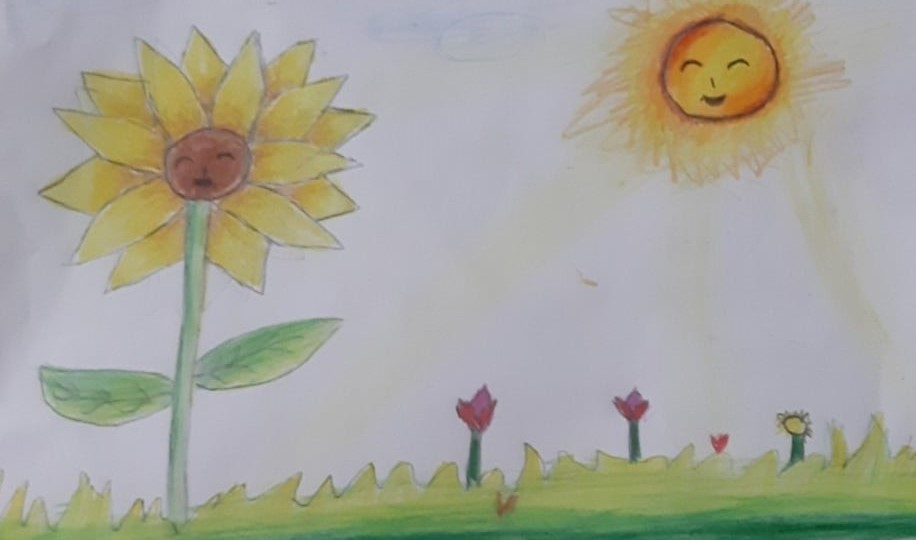 সূর্য ও সূর্যমূখী