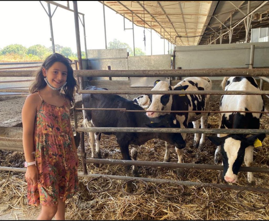 חויות מיקיץ תשפא by liel attali - Ourboox.com