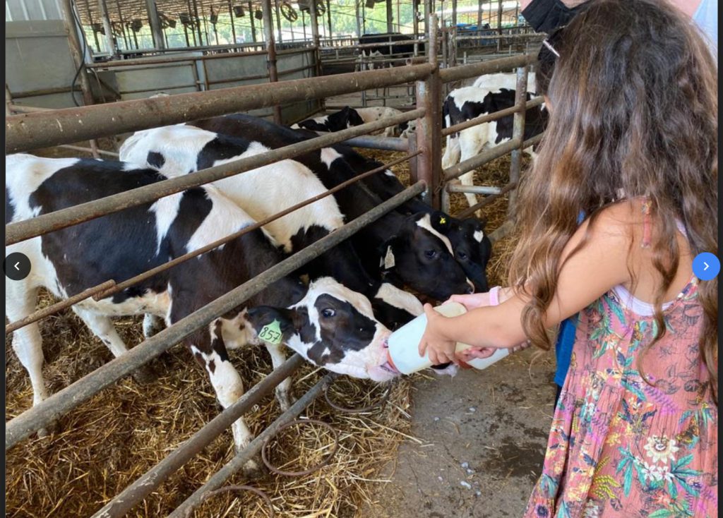 חויות מיקיץ תשפא by liel attali - Ourboox.com