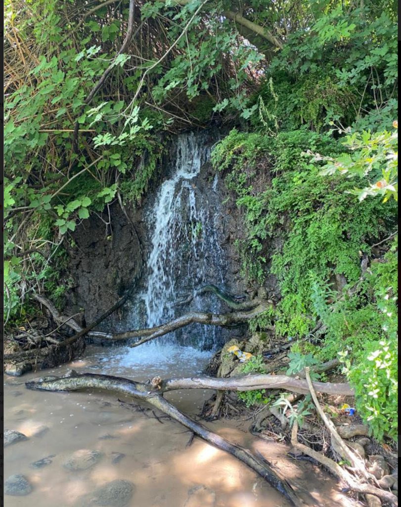 חויות מיקיץ תשפא by liel attali - Ourboox.com