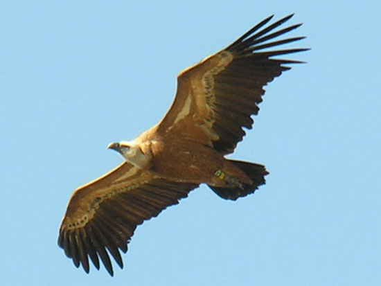 המסע שלי by malki - Ourboox.com