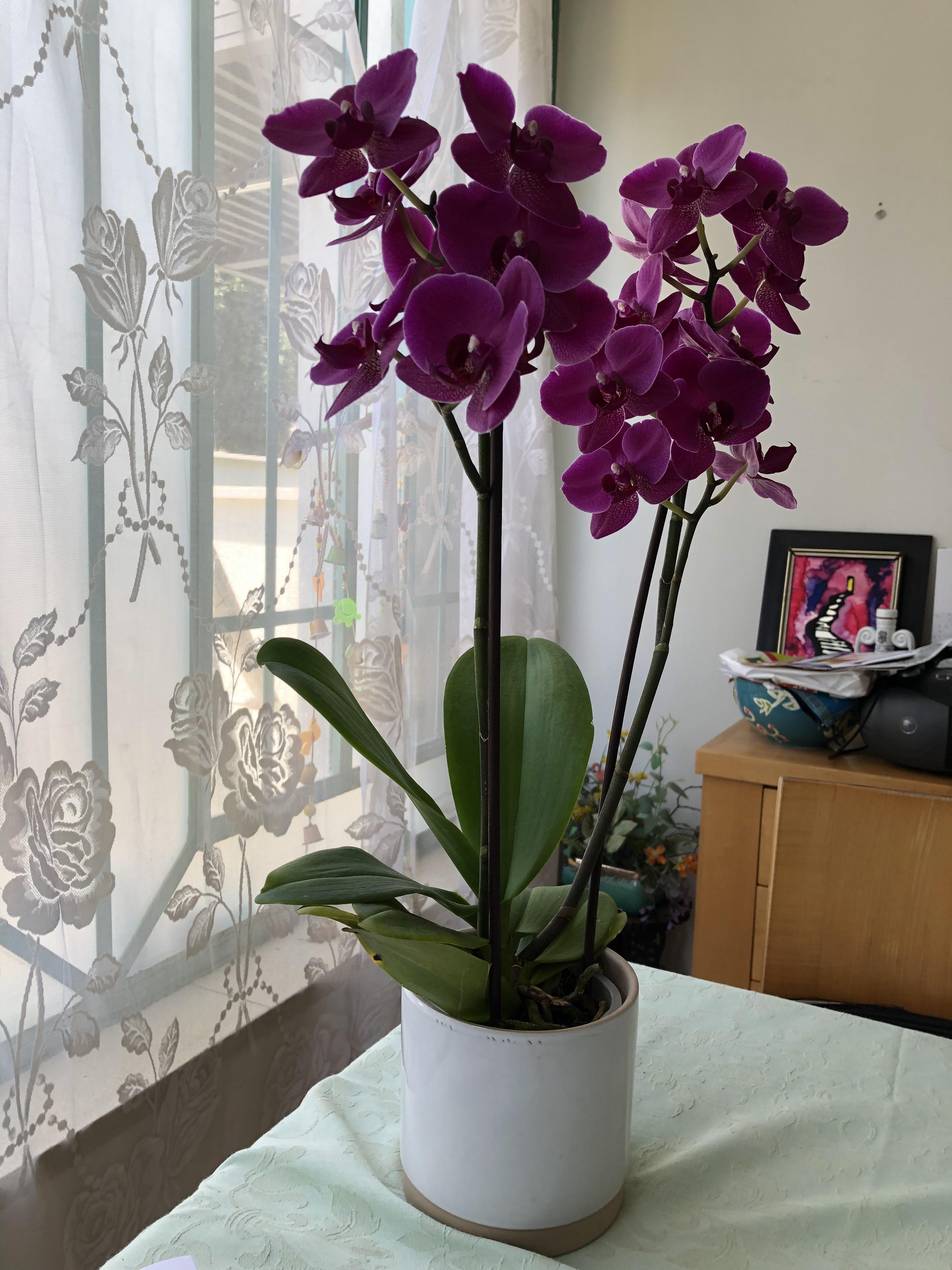 My Second Sketchbook by Mel Rosenberg - מל רוזנברג - Ourboox.com